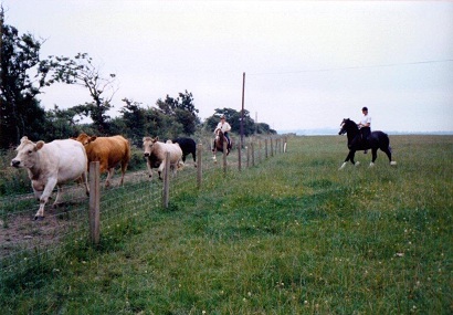 Derwen Two Rivers and Derwen Texas Expres