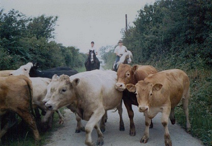 Derwen Two Rivers and Derwen Texas Expres