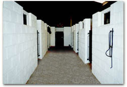 Stable1