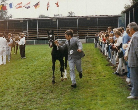 Derwen Tenessee Express